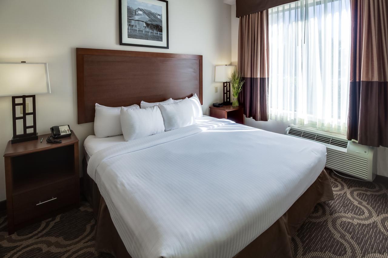 Ashmore Inn And Suites Lubbock Exteriör bild